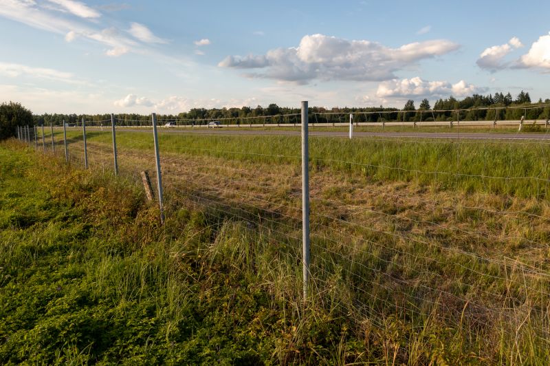 Fence detail